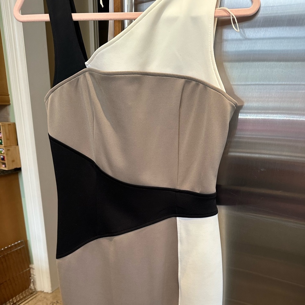 Maggy London Color Block Dress